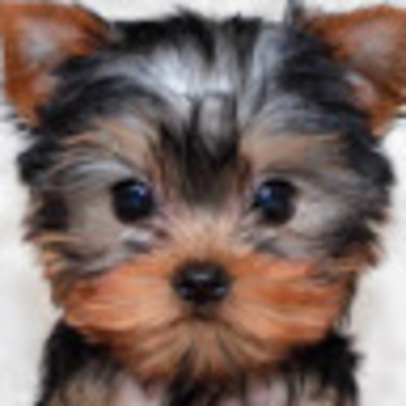 Meet your Posher, Allime - Picture 1 of 1